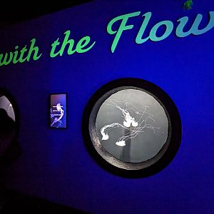 Go with the flow - jellys