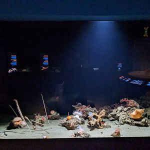 Into the Deep - first large tank