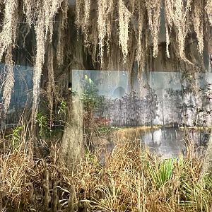 Avery Island Diorama