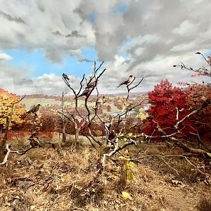 Johnson County Iowa Diorama