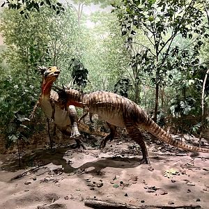 Diorama of Ancient Strife