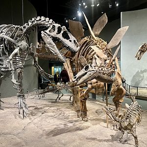 The struggle defeats us all…the fight defines us.  Also dinosaurs.