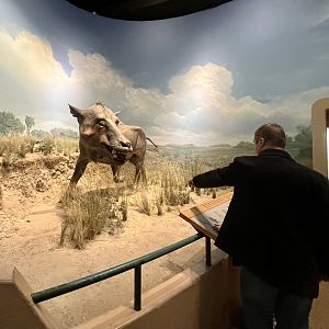 Outstanding representation of what once was…