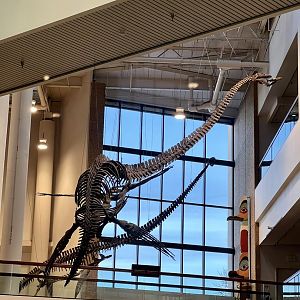 I once saw an illustration called “Courtship in Loch Ness”