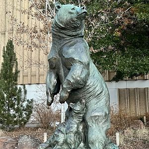 Grizzly Statue on the Grounds
