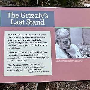 Story behind the Grizzly Statue