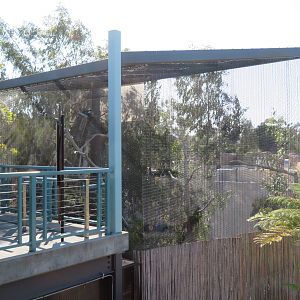 Palm Cockatoo Aviary