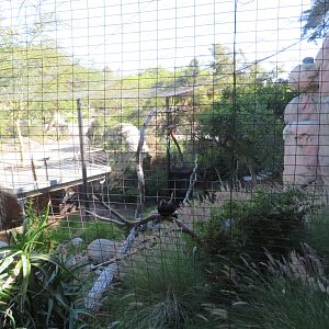 Former Bateleur Aviary