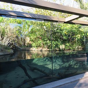 Dwarf Crocodile/Turtle Exhibit
