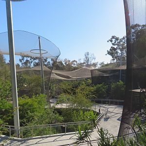 Africa Rocks - Path down Canyon