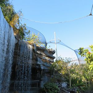 Africa Rocks - Waterfowl and Aviary Roof