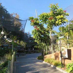 Africa Rocks - Path down Canyon