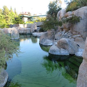 Marine Fish & Penguin Exhibit