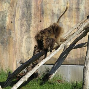 Hair Blowin' in the Breeze