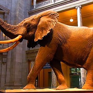 A Day At The Smithsonian - YouTube