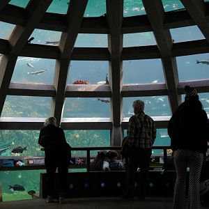 Underwater Dome (Open Side)