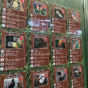 GTKA - Parrot aviary signage 190323