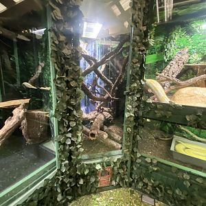 GTKA - Reptile exhibits 190323