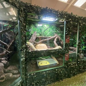 GTKA - Reptile exhibits 190323