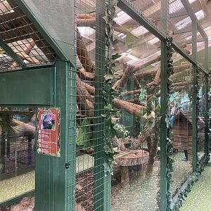GTKA - Binturong enclosure 190323