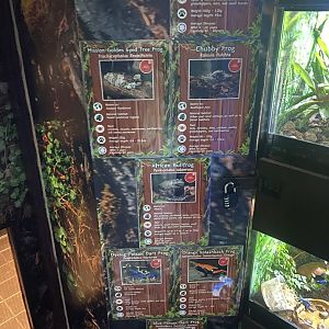 GTKA - Amphibian signage 190323