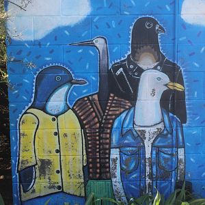 Native bird mural, Eastbourne Village (Lower Hutt, Wellington)
