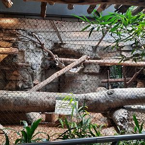Former Fishing Cat Exhibit
