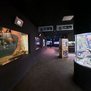 This Is Where the Fish Lives