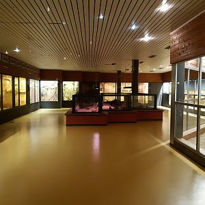 Nocturnal house (lighted) - Zoo Saarbrücken