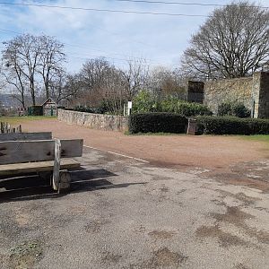 Corsac fox exhibit - Zoo Saarbrücken