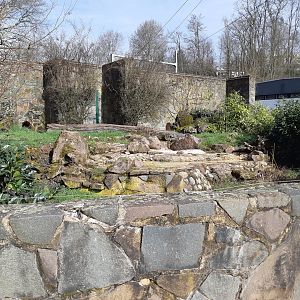 Corsax fox exhibit - Zoo Saarbrücken