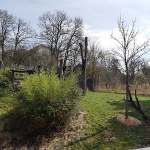 Gorilla exhibit - Zoo Saarbrücken