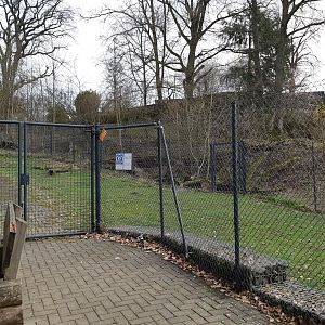Southern cassowary exhibit - Zoo Saarbrücken