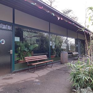 Asian bird house - Zoo Saarbrücken