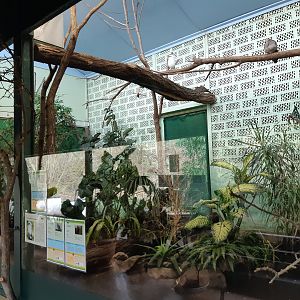 Asian bird house - Zoo Saarbrücken