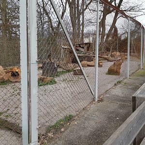 Serval exhibit - Zoo Saarbrücken