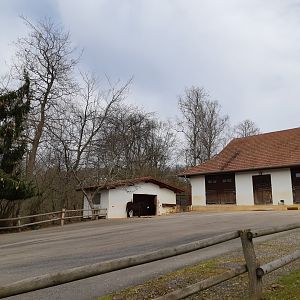 Llama and donkey parking lot - Zoo Saarbrücken