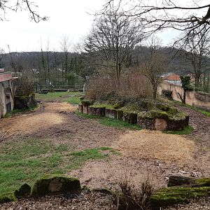 Lowland tapir exhibit - Zoo Saarbrücken