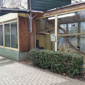 Mandrill indoor exhibit - Zoo Saarbrücken