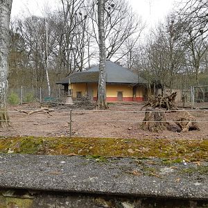 Northern warthog exhibit - Zoo Saarbrücken