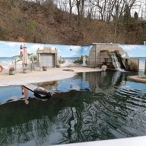 Harbour seal exhibit - Zoo Saarbrücken