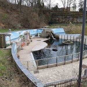 Harbour seal exhibit - Zoo Saarbrücken