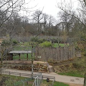 Gorilla exhibit - Zoo Saarbrücken