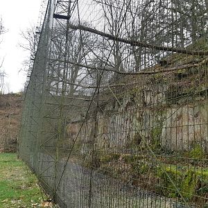 Lar exhibit - Zoo Saarbrücken