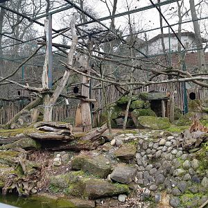 Red panda exhibit - Zoo Saarbrücken