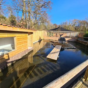 Waterfowl Construction