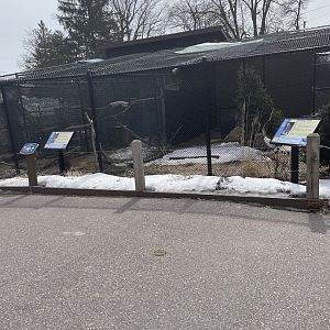 Birds-of-Prey Exhibits