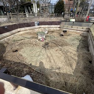 Prairie Dog Exhibit