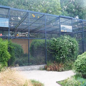Second show bird aviary - Macaws, Sun conures and Scarlet ibises, 2022-08-28