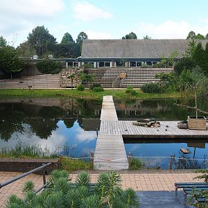 Bird show arena and stands, 2022-08-28